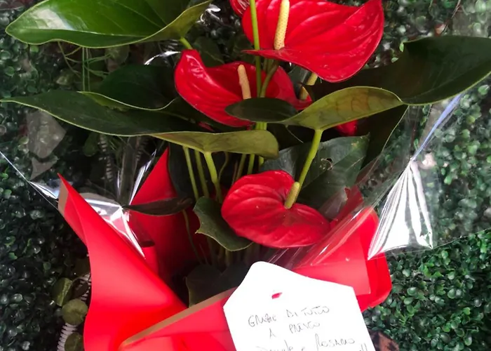 Hébergement de vacances Casa D'amore *